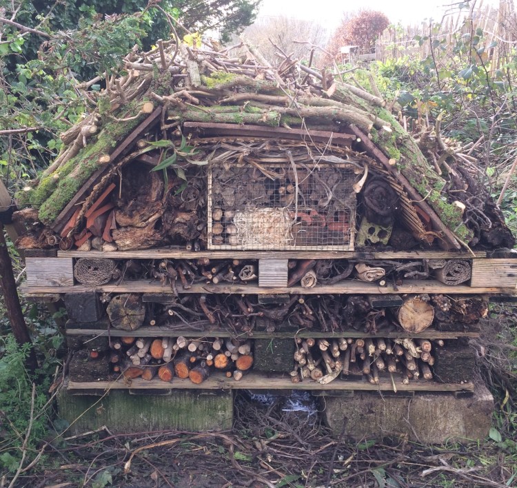 insect hotel