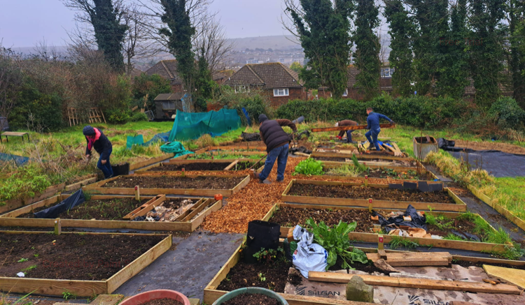 Working on the Mini Bed Plot, 18 January 2025